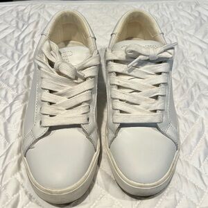 Sam Edelman Ethyl low top sneakers